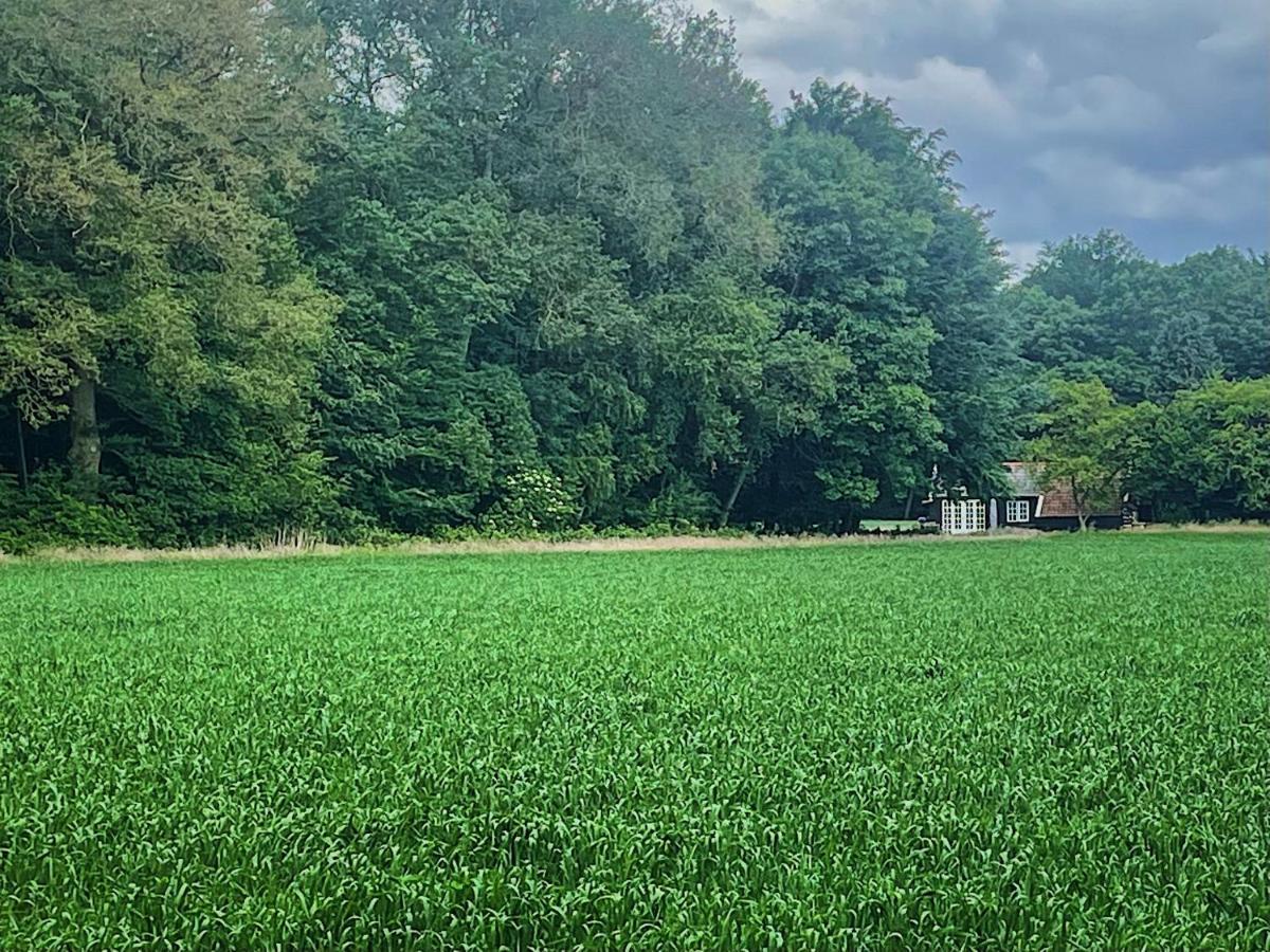 Natuurhuisje - Gastenverblijf De Kleine Hazerij Wijhe 外观 照片